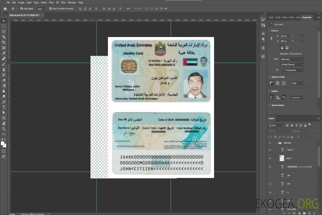 Carte d'identité des Émirats arabes unis (Émirats arabes unis) template